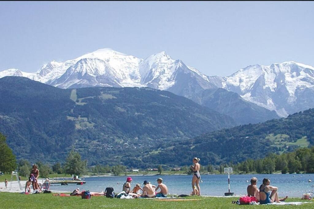 Super Appartement Cocooning Vu Mont Blanc ซาล็องช์ ภายนอก รูปภาพ