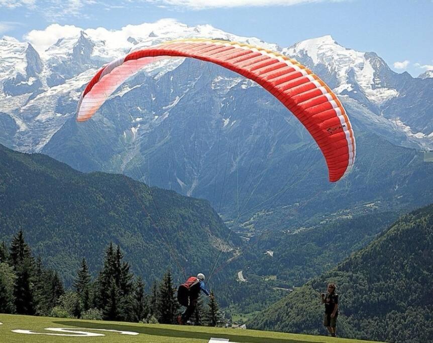 Super Appartement Cocooning Vu Mont Blanc ซาล็องช์ ภายนอก รูปภาพ